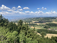 tropd_20220801_62e7ecb9d664c.jpeg