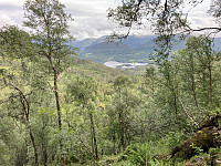 tropd_20220804_62ebf8d9259a6.jpeg