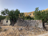 tropd_20220827_630a45c6bd3b9.jpeg