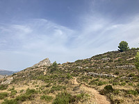 tropd_20220829_630cf0ee442d8.jpeg