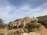 tropd_20220829_630cf0f821ce9.jpeg