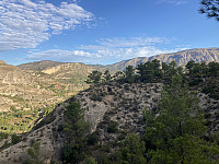 tropd_20220903_6313216291a15.jpeg