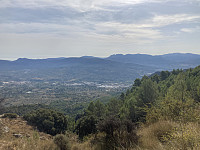 tropd_20220911_631e259c09a61.jpeg
