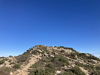 tropd_20221129_6385c9f26188e.jpeg
