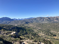 tropd_20221129_6385ca02a1f11.jpeg