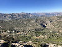 tropd_20221129_6385ca120abd8.jpeg