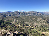 tropd_20221129_6385ca25c0809.jpeg