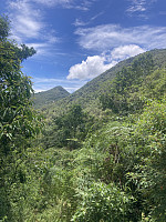 tropd_20230113_63c1c5a30f171.jpeg