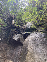 tropd_20230113_63c1c5cc83a9d.jpeg