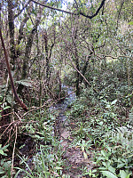tropd_20230113_63c1c5f9d26d3.jpeg