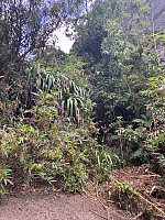 tropd_20240605_665f971fc4824.jpeg