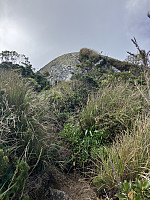 tropd_20240605_665f97382ca8d.jpeg