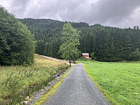 tropd_20240728_66a61f6cd684a.jpeg