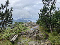 tropd_20240728_66a61f7eca755.jpeg