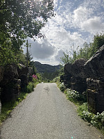 tropd_20240729_66a7845a82f8d.jpeg