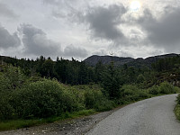 tropd_20240729_66a7845d5d837.jpeg
