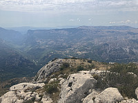 tropd_20240814_66bcf900cf12f.jpeg