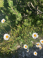 tropd_20240814_66bcfe54d6333.jpeg