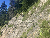 tropd_20240814_66bcfe642515f.jpeg