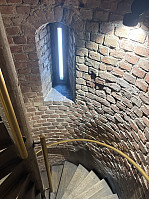 tropd_20250723_688152355b557.jpeg