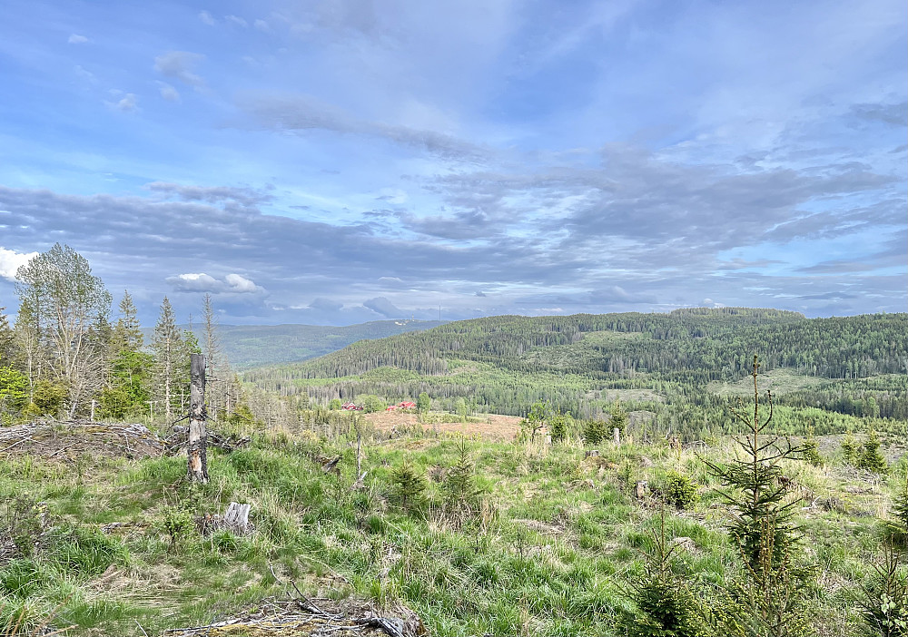 Utsikten fra Høghaugen mot Sørkedalen. Tryvannshøgda med rester etter årets slalomsesong i Wyllerløypa midt i bildet. Høydedraget til høyre er Venneråsen.