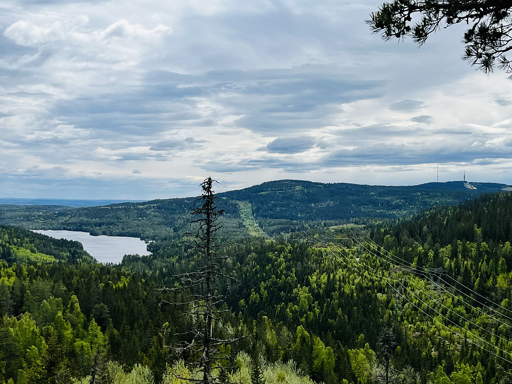 Det er fin utsikt mot Skjersjøen fra Storhaugen. Det kjente landemerket Tryvannstårnet til høyre i bildet.