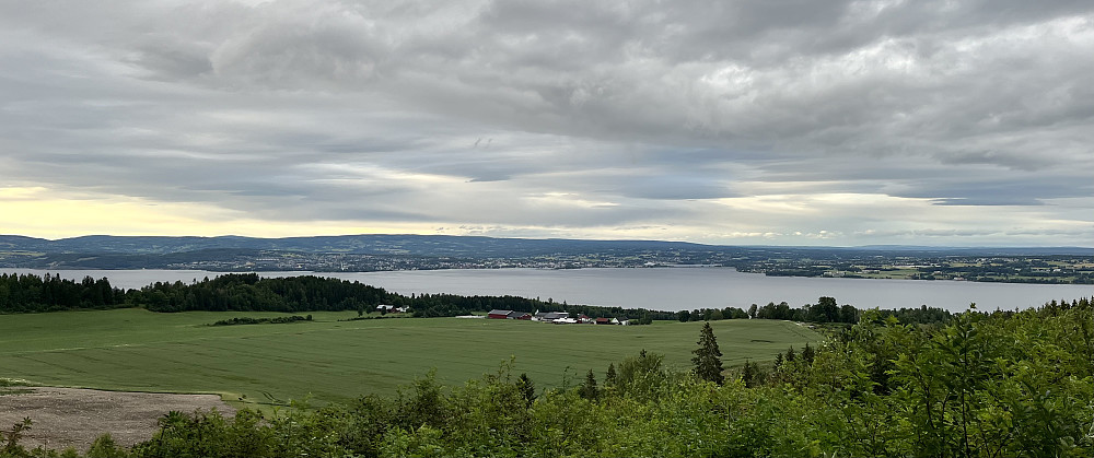 Helt øst på åsen er det tatt ut en del tømmer som gir god utsikt over fjorden mot Hamar