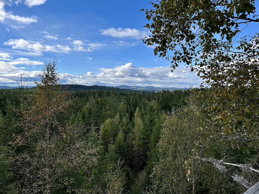 Utsikt et lite stykke vest for Langedalskollen. Vi ser mot Gørjehøgda. Bak til høyre er toppene i område rundt Kikut.