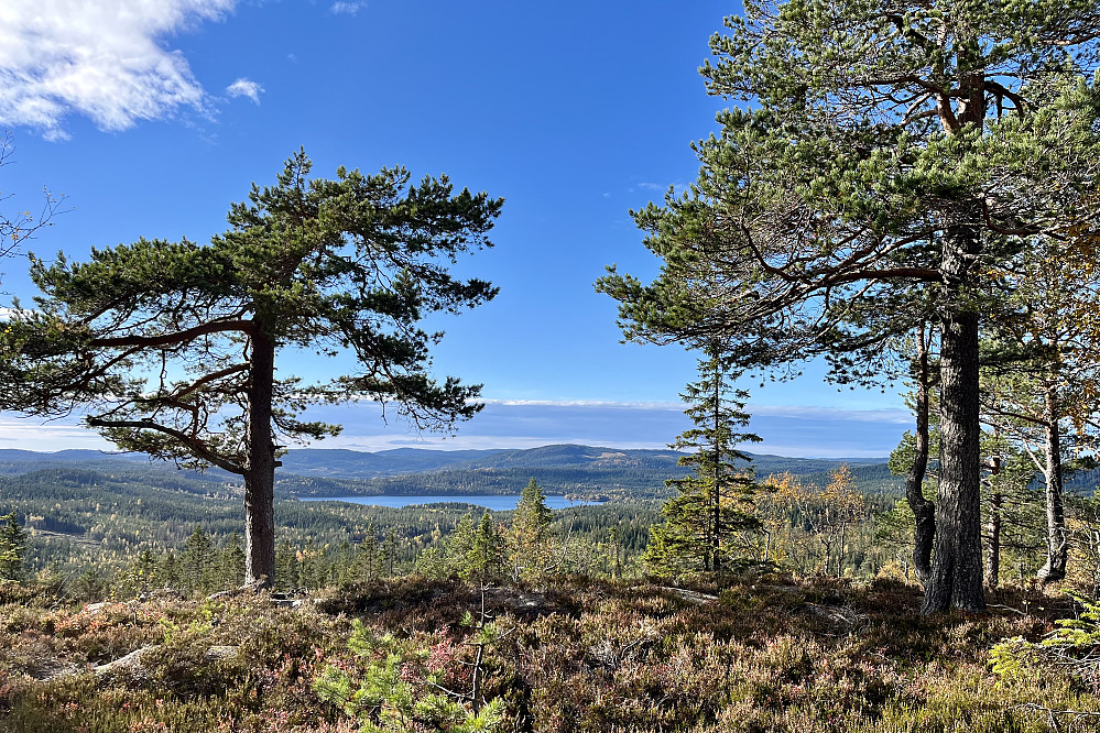 Det er god utsikt mot vest fra Glostjernskollen. Helgeren midt i bildet med toppene rundt Kikut som reiser seg opp bakenfor.