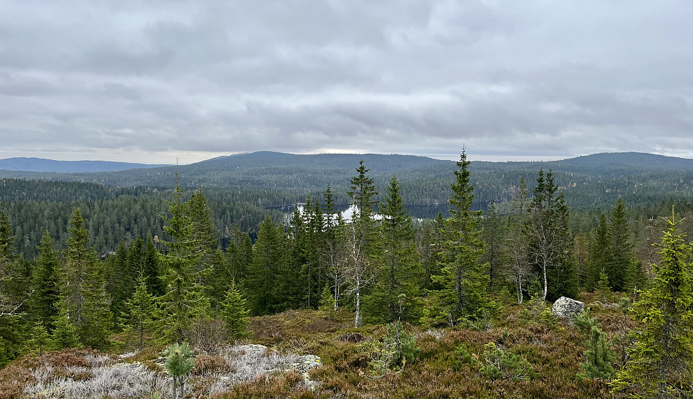 Utsikt fra Trehjørningsbrenna mot Glotjernskollen (til høyre) og Eriksknatten (til venstre). Varingskollen skimtes så vidt i forlengelsen av Eriksknatten.