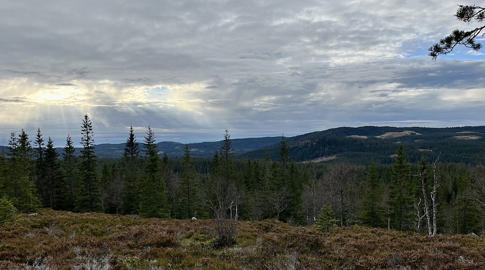Utsikt fra Barlindhøgda mot Kikut