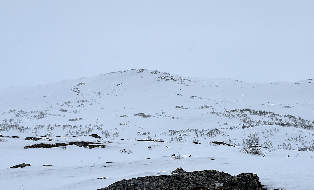 Utsikt fra toppen mot Auervasseggi