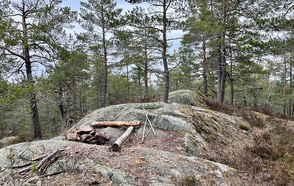 Toppunktet på Haukåsen vest ligger 50 meter lenger nord enn der pinnen er plassert på kartet. Dette er toppen.