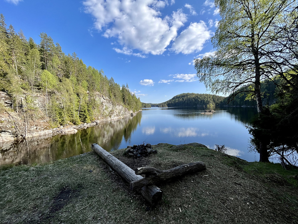 Blikkstille over Delisæterfjorden