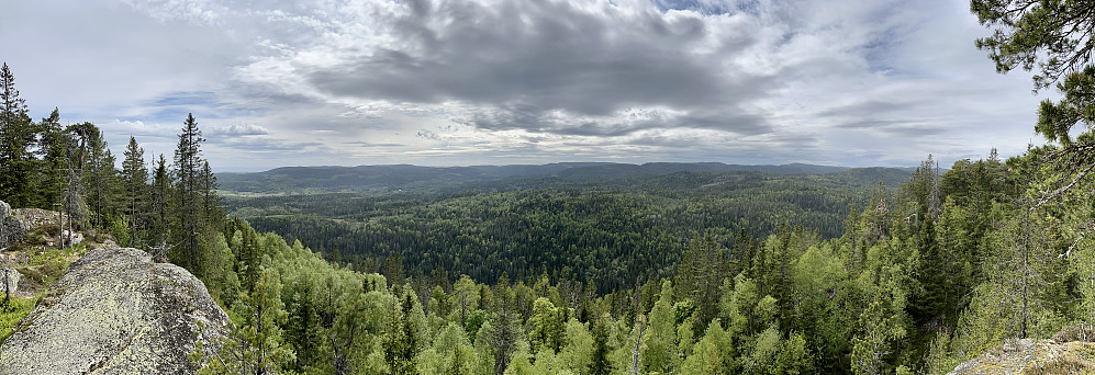 Panorama mot vest fra Svartberget 