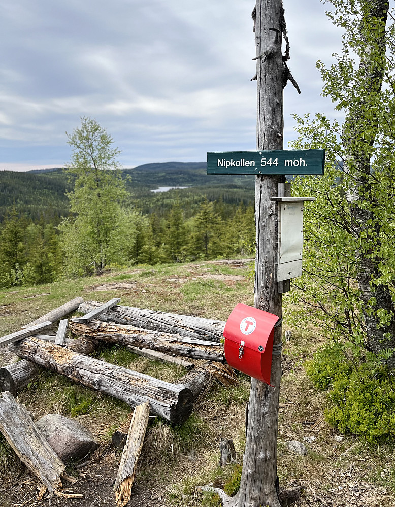 Det er fin utsikt fra toppen av Nipkollen også. 