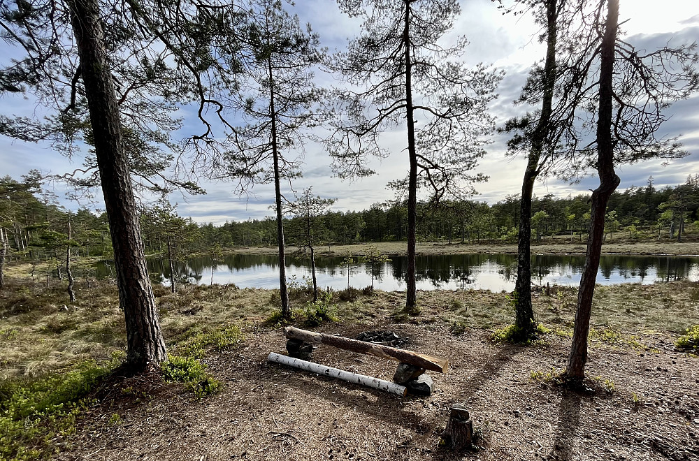 Skogsidyll ved Fugleleiktjern