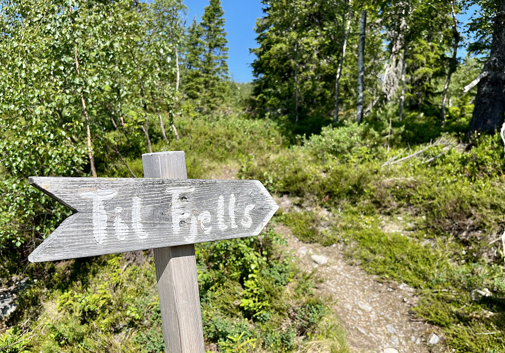 Det er greit å vite at man er på rett sti 