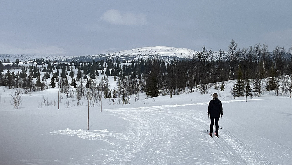 Trikkeskinner med Synhaugen i bakgrunnen. 