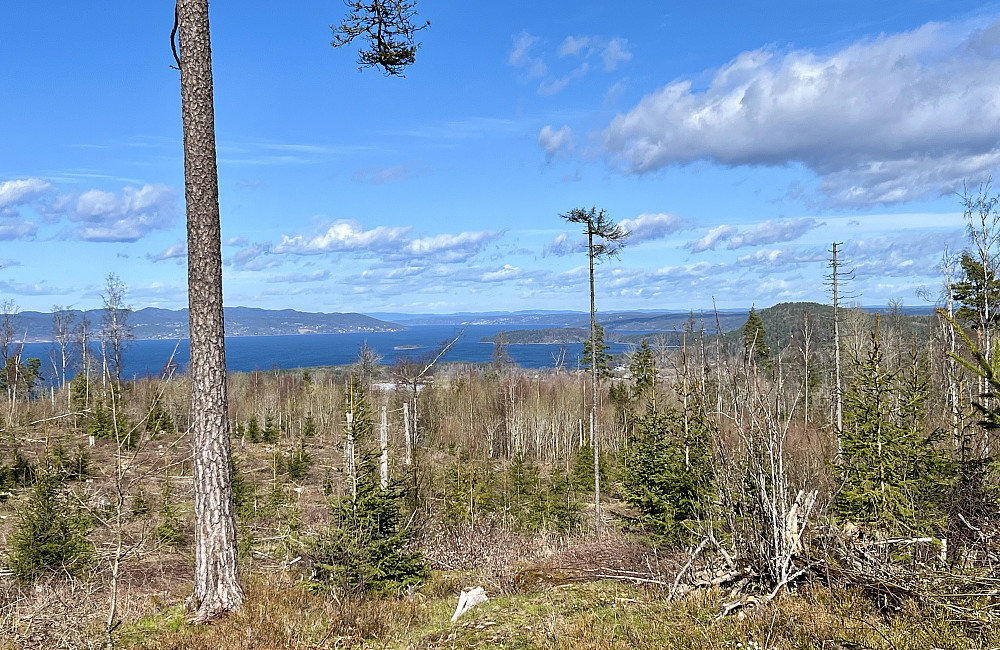 Rambergsåsen er det høyeste punktet på Jeløy med god utsikt nordover langs Oslofjorden. Bjørnåsen ligger litt skjult på høyre side i bildet.
