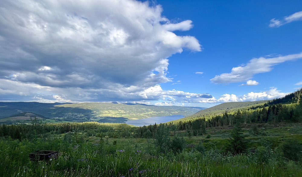Utsikt fra nedstigningen: Volbufjorden med Rundemellen og Skarvemellen som stikker opp bakenfor åsen på motsatt side avdalen.