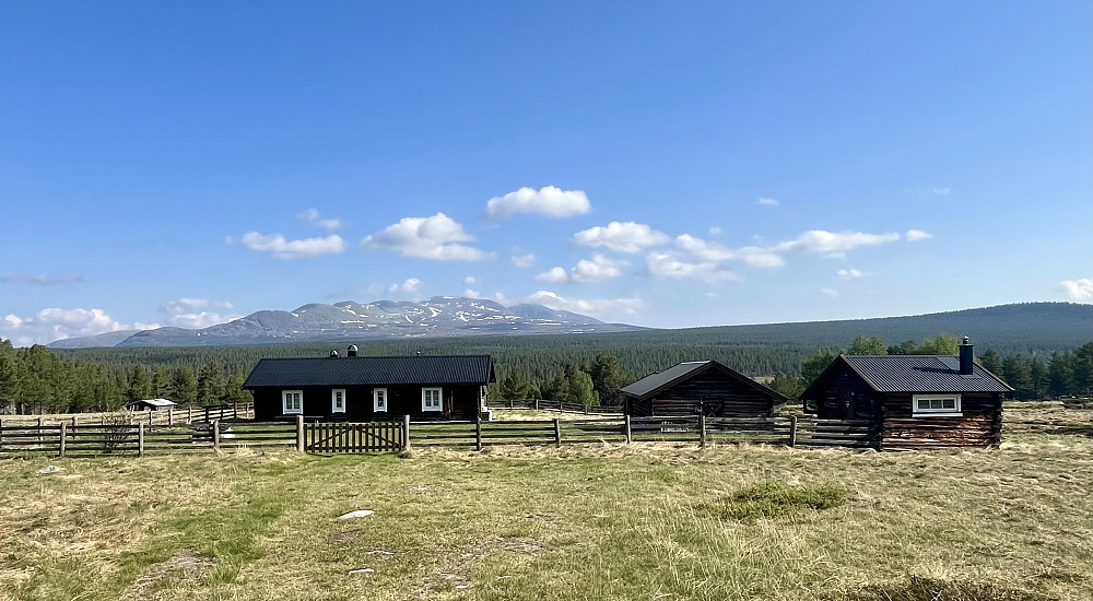 Når jeg kjørte hjemover langs RV217 kan man se Sølen massivet hevet seg over det omliggende terrenget.