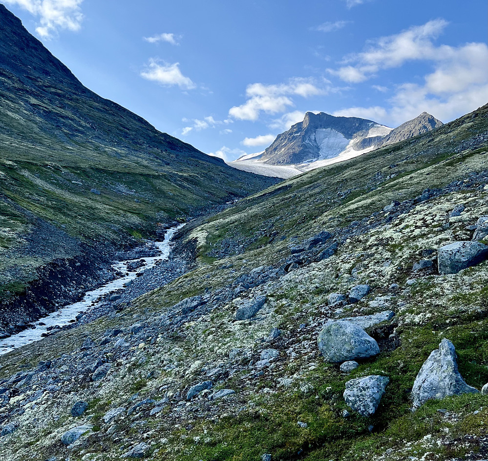 Med stor vannføring i Søre Illåe, så valgte jeg å gå helt opp til breen for å kunne passere tørrskodd. Vestre Tverrbotntinden i bakgrunnen.