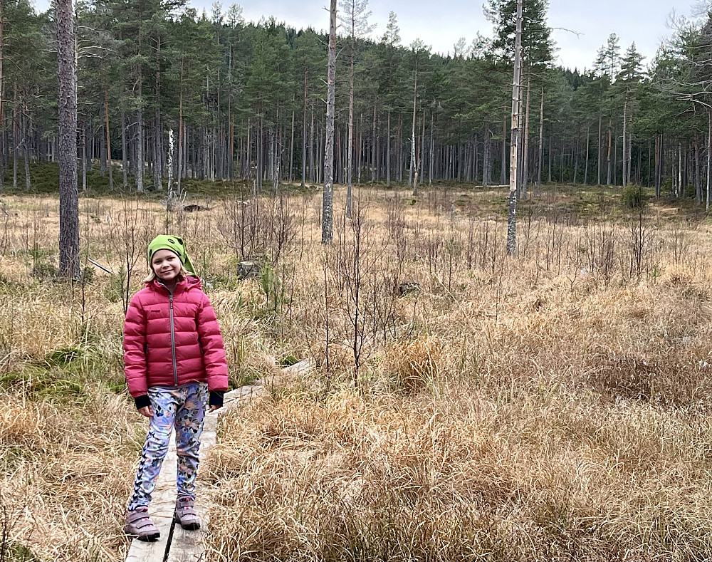 Vi tok "snarveien" om Setertjern i stedet for å gå langs grusveien.