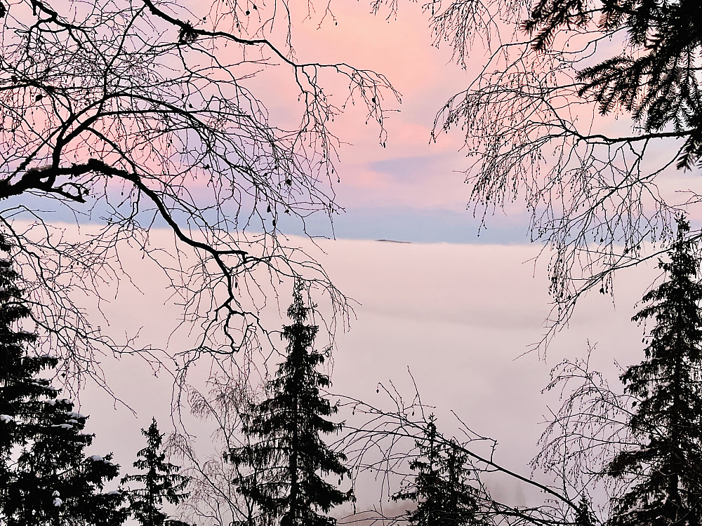 Mjøsa er pakket inn i tåke. 