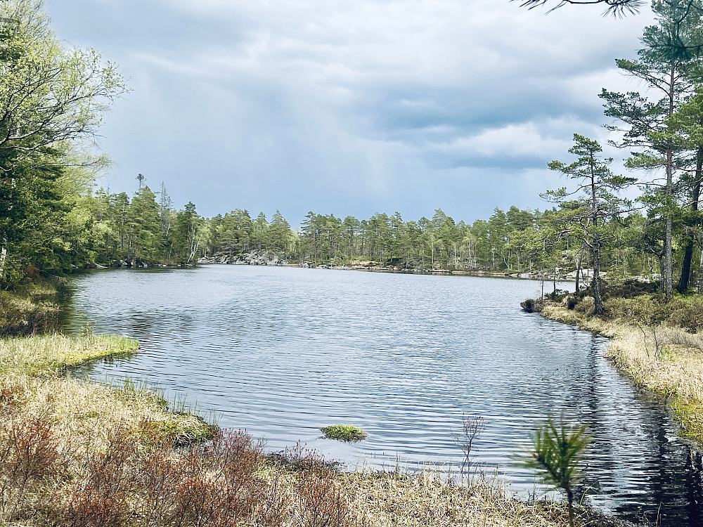 Horntjern 