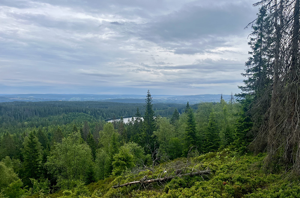 Utsikt fra toppen av Prekestolen mot det jeg mener Skedsmoområdet. 