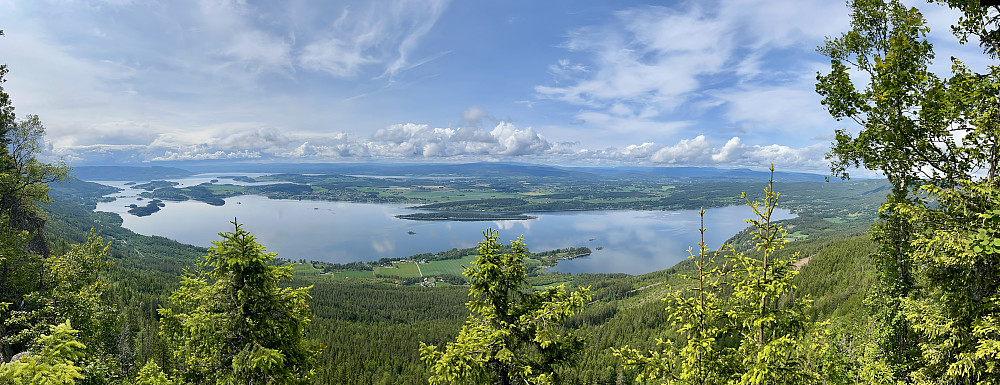 Blikkstille på Steinsfjorden
