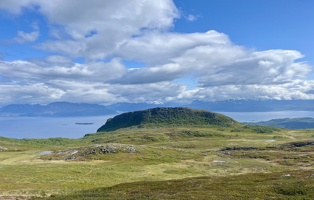 Hinnstein fra Vardheia
