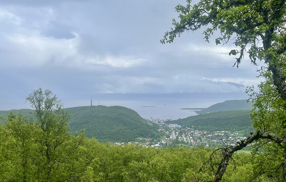 Samaåsen med TV-tårnet sett fra Kjellhusåsen